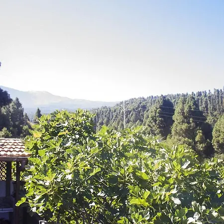 Casa Rosalia